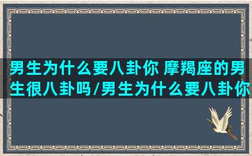 男生为什么要八卦你 摩羯座的男生很八卦吗/男生为什么要八卦你 摩羯座的男生很八卦吗-我的网站